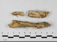 登錄號:F0033611藏品圖，第1張