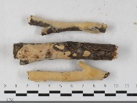 登錄號:F0033614藏品圖，第1張