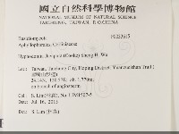 登錄號:F0033615藏品圖，第2張