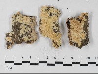 登錄號:F0033615藏品圖，第1張