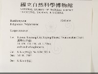 登錄號:F0033616藏品圖，第2張