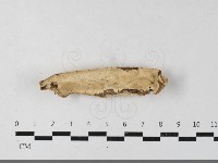 登錄號:F0033616藏品圖，第1張