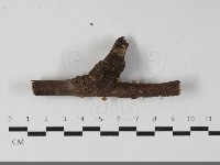 登錄號:F0033617藏品圖，第1張