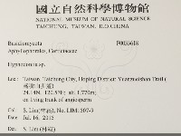 絲齒菌屬藏品圖，第2張