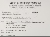 登錄號:F0033619藏品圖，第2張