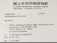 登錄號:F0033620藏品圖，第2張