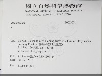 登錄號:F0033621藏品圖，第2張