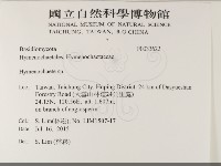 刺革菌屬藏品圖，第2張