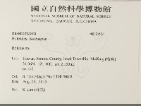 粉褶菌屬藏品圖，第2張