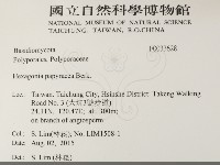 登錄號:F0033628藏品圖，第2張