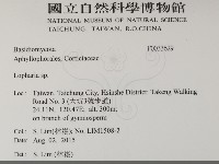 登錄號:F0033629藏品圖，第2張