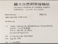 登錄號:F0033632藏品圖，第2張