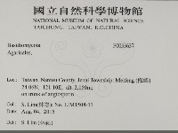 登錄號:F0033637藏品圖，第2張