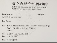 登錄號:F0033641藏品圖，第2張