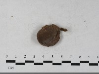 登錄號:F0033642藏品圖，第1張