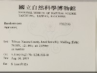 登錄號:F0033643藏品圖，第2張