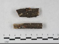 登錄號:F0033643藏品圖，第1張