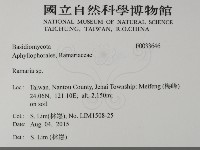 登錄號:F0033646藏品圖，第2張