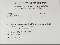 登錄號:F0033649藏品圖，第2張