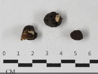 登錄號:F0033649藏品圖，第1張