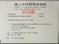 登錄號:F0033652藏品圖，第2張