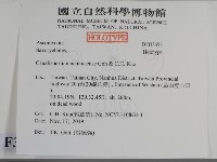 登錄號:F0033653藏品圖，第2張
