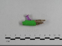 登錄號:F0033653藏品圖，第1張