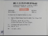 登錄號:F0033654藏品圖，第2張