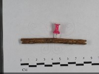 登錄號:F0033654藏品圖，第1張