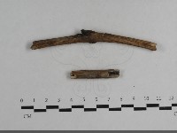 登錄號:F0033654藏品圖，第3張