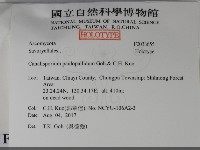 登錄號:F0033655藏品圖，第2張