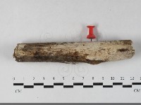 登錄號:F0033655藏品圖，第1張