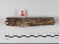 登錄號:F0033655藏品圖，第3張
