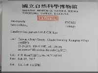 登錄號:F0033656藏品圖，第2張