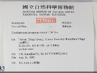 登錄號:F0033657藏品圖，第2張