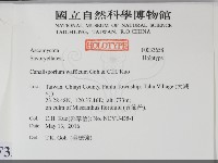 登錄號:F0033658藏品圖，第2張