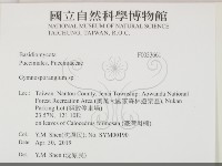 登錄號:F0033661藏品圖，第2張