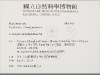 登錄號:F0033665藏品圖，第2張