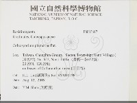 登錄號:F0033667藏品圖，第2張