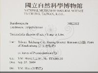 登錄號:F0033668藏品圖，第2張