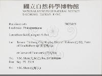 登錄號:F0033669藏品圖，第2張