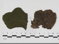 登錄號:F0033669藏品圖，第1張