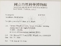 登錄號:F0033674藏品圖，第2張