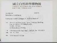 登錄號:F0033681藏品圖，第2張