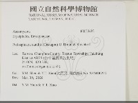 登錄號:F0033682藏品圖，第2張