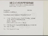 登錄號:F0033683藏品圖，第2張