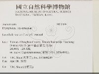 登錄號:F0033684藏品圖，第2張