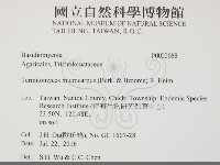 登錄號:F0033688藏品圖，第2張