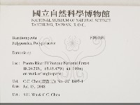 登錄號:F0033689藏品圖，第2張