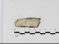 登錄號:F0033692藏品圖，第1張